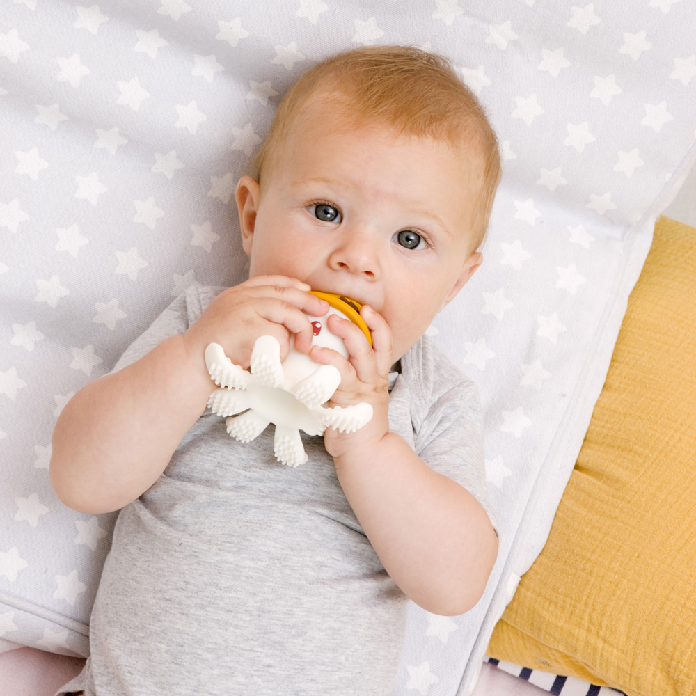 Petite Vie Soldes -Petite Vie Soldes bv083403600 2