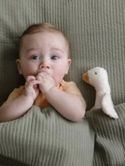 Hochet Couineur Little Goose - LITTLE DUTCH Blanc - Little Dutch -Petite Vie Soldes hochet couineur little goose little dutch 1