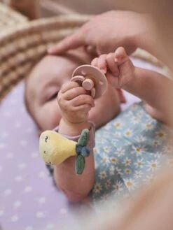 Hochets Mains Et Pieds DOUCE PROVENCE Violet - Douce Provence - Vertbaudet -Petite Vie Soldes hochets mains et pieds douce provence 5