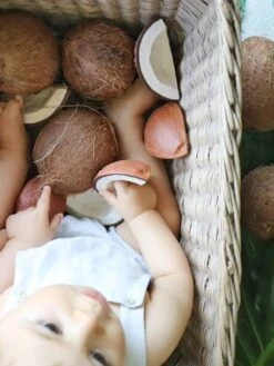 Jouet De Dentition Coco La Noix De Coco - OLI & CAROL Marron - Oli Et Carol -Petite Vie Soldes jouet de dentition coco la noix de coco oli carol 5