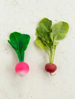 Jouet De Dentition Ramona Le Radis - OLI & CAROL Rose - Oli Et Carol -Petite Vie Soldes jouet de dentition ramona le radis oli carol 5