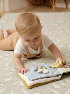 Livre D'Eveil Little Goose - LITTLE DUTCH Vert - Little Dutch -Petite Vie Soldes livre deveil little goose little dutch 3