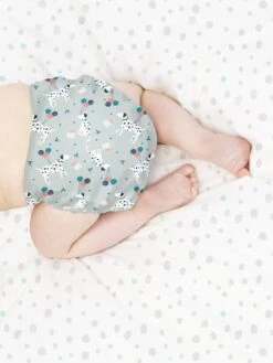 Miosolo Couche Lavable Tout-en-un BAMBINO MIO Doux Citron - Bambino Mio -Petite Vie Soldes miosolo couche lavable tout en un bambino mio 5