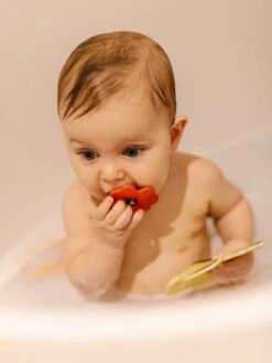 Pop Le Coquelicot - OLI & CAROL Rouge - Oli Et Carol -Petite Vie Soldes pop le coquelicot oli carol 3