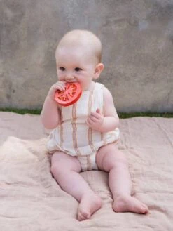 Renato La Tomate - OLI & CAROL Rouge - Oli Et Carol -Petite Vie Soldes renato la tomate oli carol 2