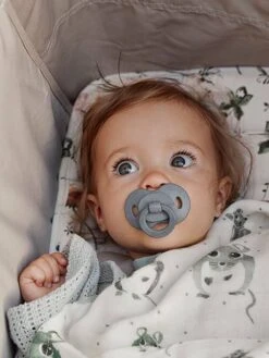 Sucette Orthodontique ELODIE DETAILS Physiologique Bleue (tender Bl - Elodie Details 13 Sucette Orthodontique ELODIE DETAILS Physiologique Bleue (tender Bl - Elodie Details -Petite Vie Soldes sucette orthodontique elodie details 5