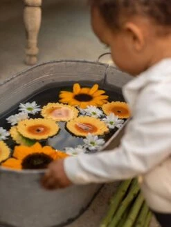 Sun Le Tournesol - OLI & CAROL Jaune - Oli Et Carol -Petite Vie Soldes sun le tournesol oli carol 3